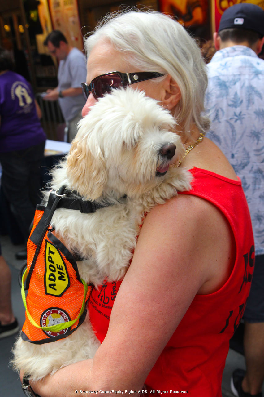 Broadway's Best Help Pets Find Loving Homes at Broadway Barks