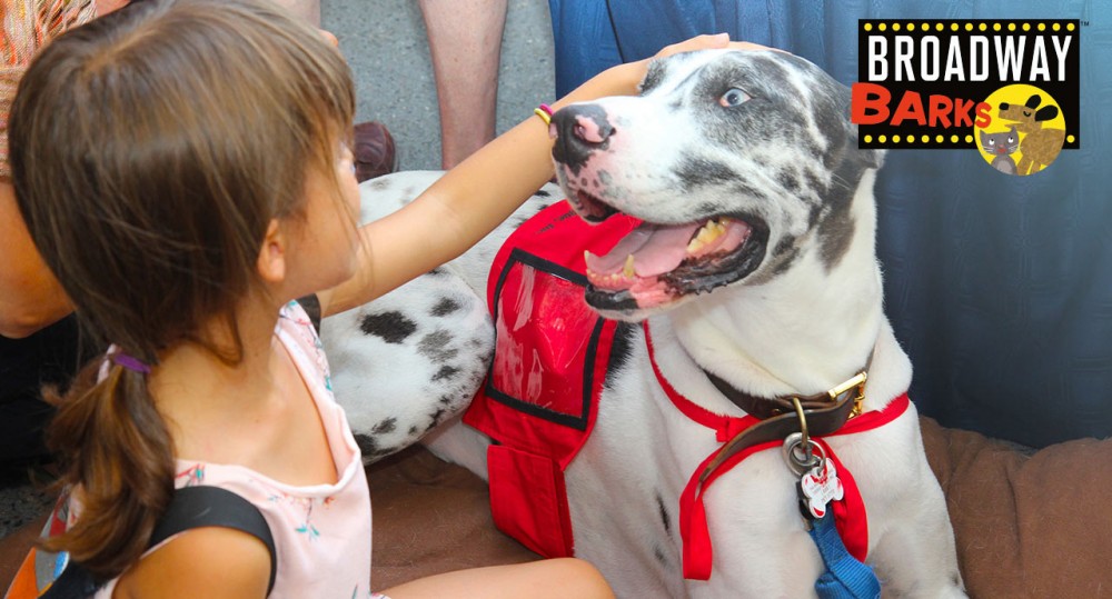 pet market in broadway