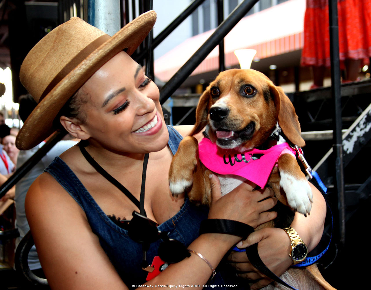 Broadway's Best Help Pets Find Loving Homes at Broadway Barks