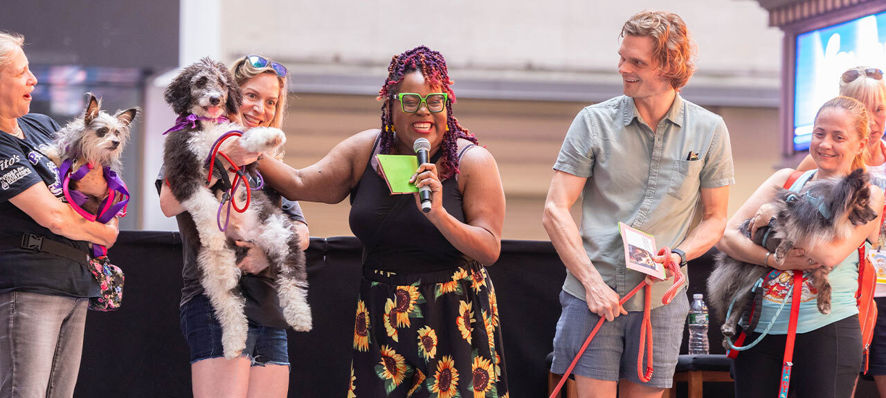 Bark in the Park' raises money, helps animals find forever homes