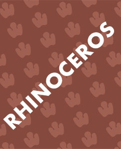Rhinoceros